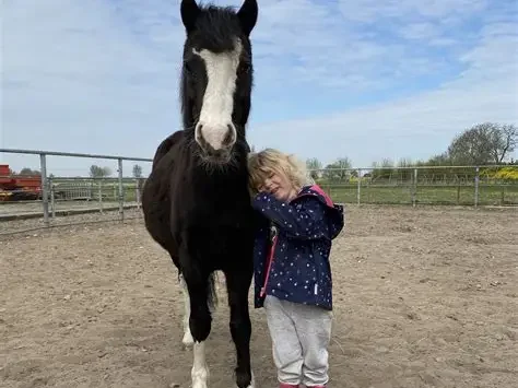 kind 5