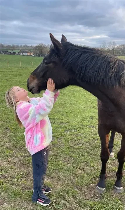Kind met een roze jas en blond haar raakt een donker paard aan op zijn snuit